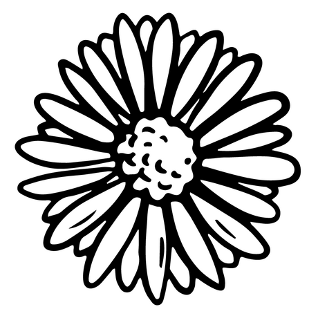 Gänseblümchen