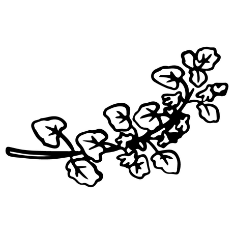 Gundermann